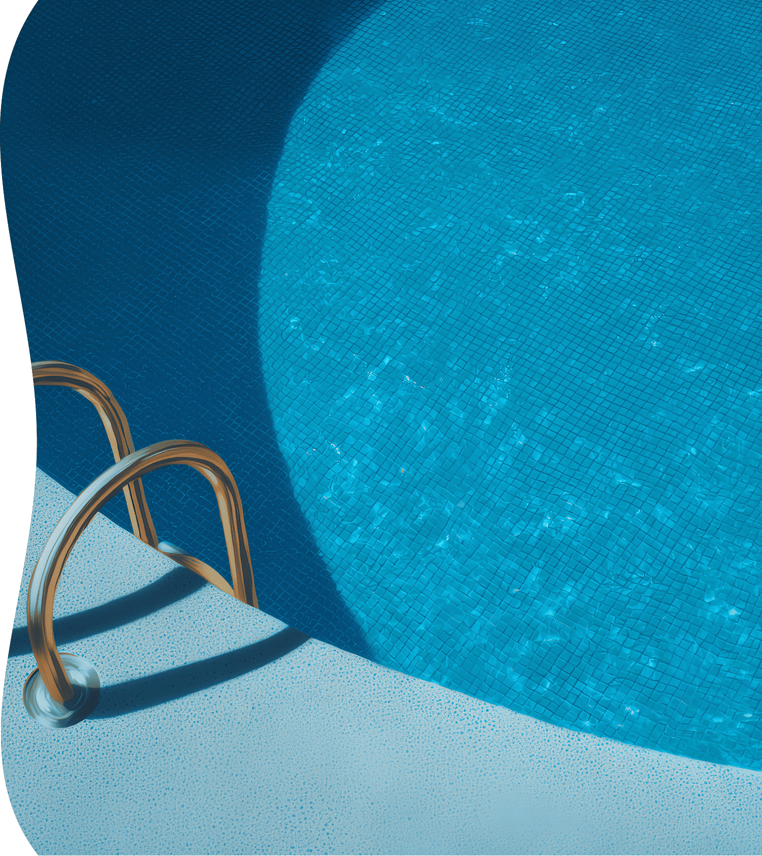 Tanaboi.com - お問い合わせページの装飾画像