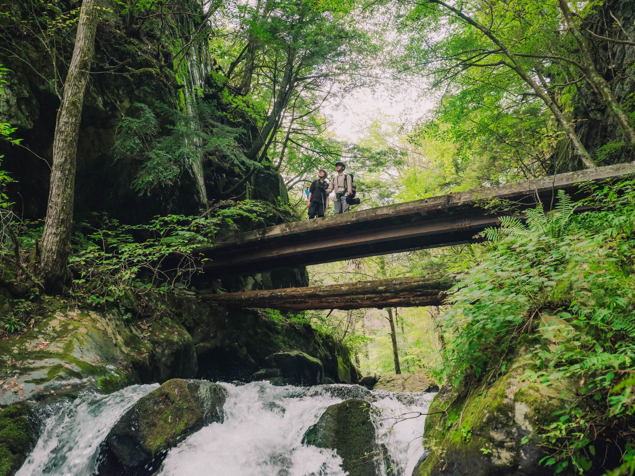 Shinpi Trail - Works詳細画像1