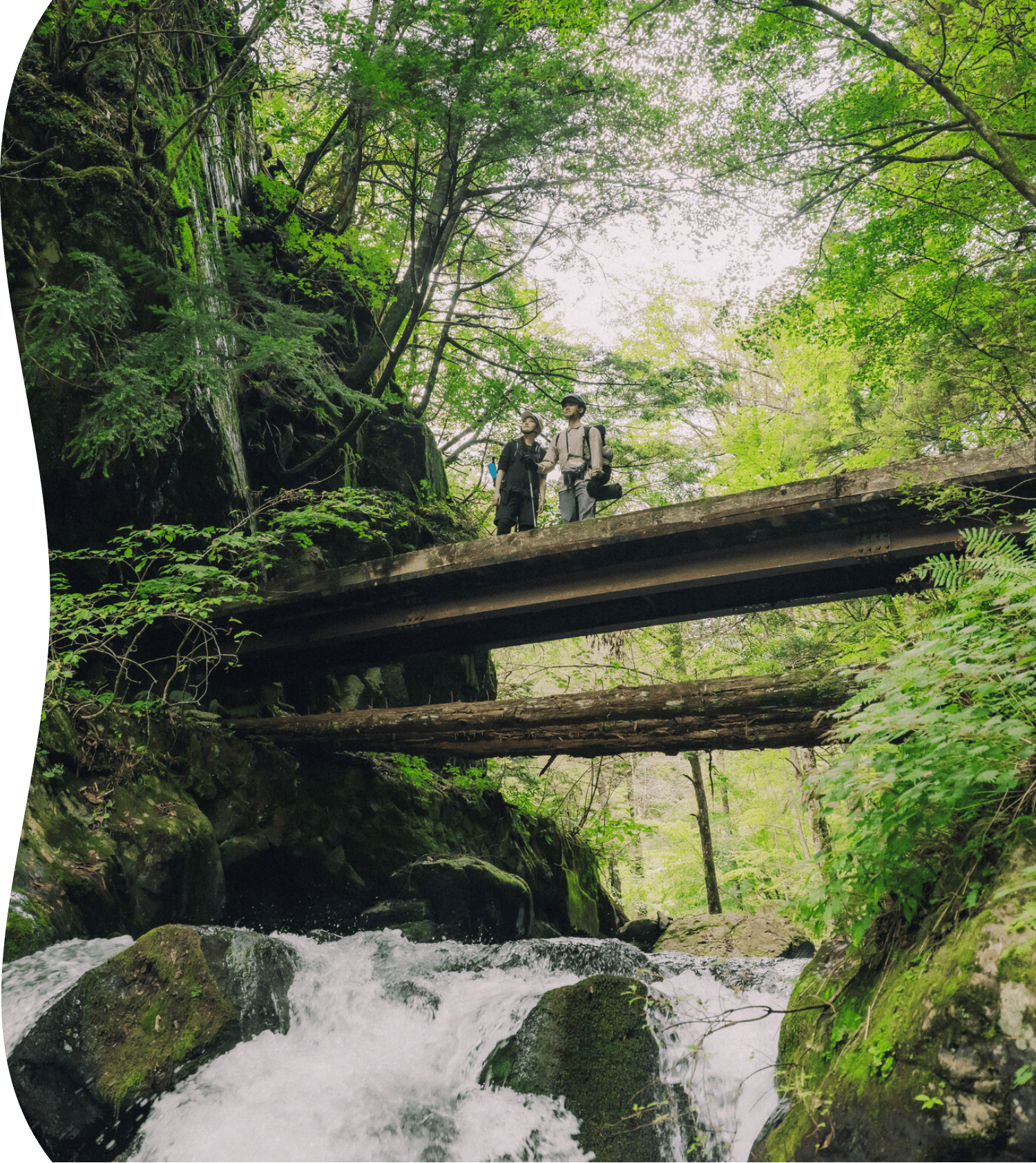 Shinpi Trail - 次の作品のサムネイル